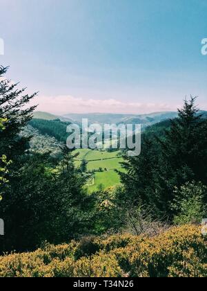 Vue sur la vallée, Nant Bwlch yr Arian Forêt, Pays de Galles, Royaume-Uni Banque D'Images