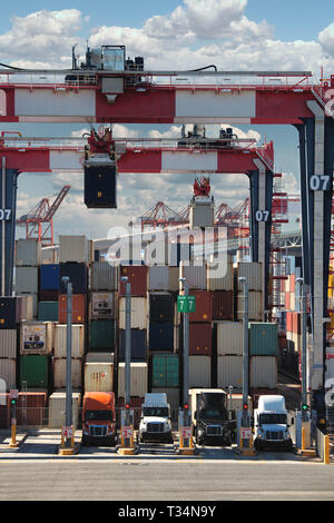 Les contenants d'expédition en cours de chargement sur camions semi, Long Beach, Californie, États-Unis Banque D'Images