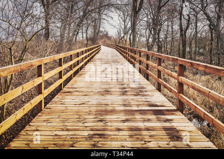 Le pont en bois fait partie oft la piste cyclable entre Kolobrzeg (Kolberg) et d'Ustronie Morskie (Henkenhagen), Kolobrzeg, Pologne, Europe Banque D'Images