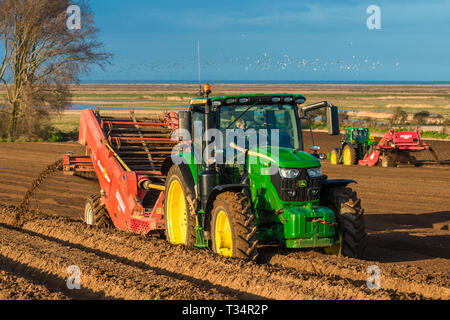 L'exercice de tracteurs en forme de lit de suivi par l'ensemencement des champs au début de l'heure à ressorts Burnham Overy dans North Norfolk, East Anglia, Angleterre, RU Banque D'Images