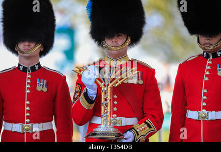 Hippodrome d'Aintree, Aintree, UK. 6ème apr 2019. Le Grand National 2019 festival, jour 3 ; Gardes irlandais avec le Grand Trophée National Credit : Action Plus Sport/Alamy Live News Banque D'Images