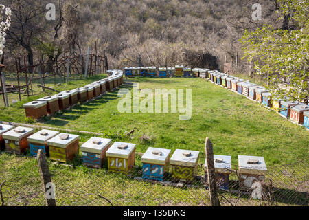 L'Apiculture situé dans le jardin à l'extérieur, dans un rectangle au début du printemps ensoleillé jour. Ruche en bois boîtes colorées. La Bulgarie, la région de Pazardjik. L'apiculture est populaire Bulga Banque D'Images