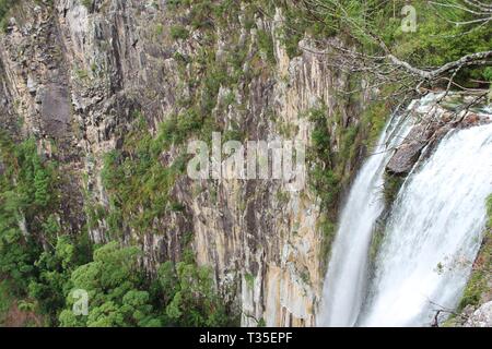 Minyon Falls, NSW Australie - 12/2/2016 : Minyon falls, les forêts, les ruisseaux vierges cascade spectaculaire dernier verre. Le Parc National de la rivière du nord Banque D'Images