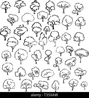 Arbres jeu de croquis, dessins, illustration vintage style encre dessiner, gravé à la main. Image vectorielle Illustration de Vecteur
