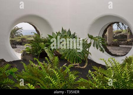 Les plantes d'intérieur à Jameos del Agua, une attraction touristique à l'intérieur d'un tube de lave conçu par Cesar Manrique, avec des hublots ronds, Lanzarote. Banque D'Images