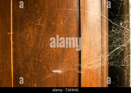 Détail de l'armoire en bois vintage retro avec de vieux spider web Banque D'Images