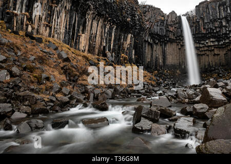 Chutes Svartifoss (noir) est une cascade de Skaftafell dans le parc national du Vatnajökull en Islande, et est l'un des sites touristiques les plus populaires dans le parc. Il i Banque D'Images