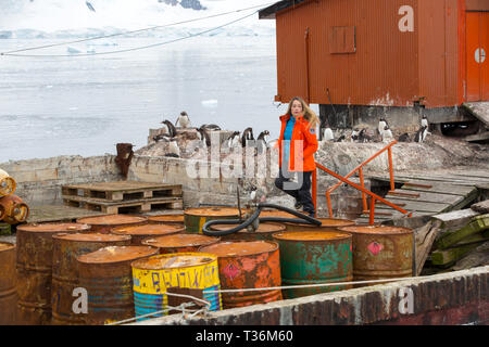 Manchots un vieux barils d'huile à Almirante Brown station à Neko Harbour dans la péninsule antarctique, Paradise Bay. Banque D'Images