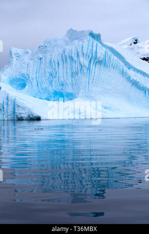 Un iceberg à Neko Harbour dans la péninsule antarctique, Paradise Bay. Banque D'Images