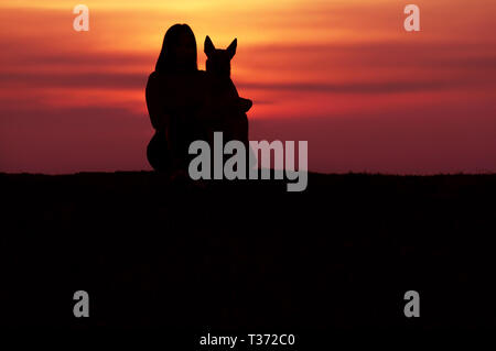 Silhouettes au coucher du soleil, girl and dog dans le contexte d'un incroyable coucher du soleil, Chien de Berger Belge Malinois, câlins Banque D'Images