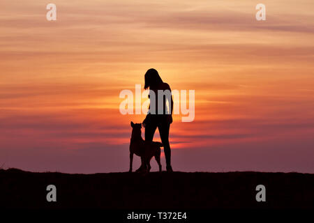 Silhouettes au coucher du soleil, girl and dog dans le contexte d'un incroyable coucher du soleil, Chien de Berger Belge Malinois, câlins Banque D'Images