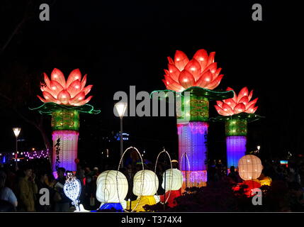 KAOHSIUNG, TAIWAN -- le 9 février 2019 : grandes lanternes dans la forme du symbole bouddhiste de la fleur de lotus sont sur l'affichage à la Fête des lanternes. Banque D'Images