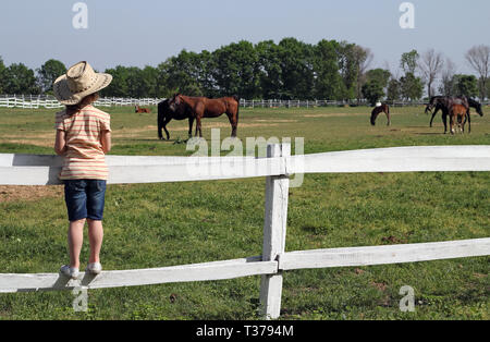 Enfant avec chapeau de cowboy en regardant les chevaux sur la ferme Banque D'Images