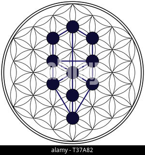 Arbre de vie kabbale géométrie juive Alchimie spirituelle la numérologie hébraïque illustration Banque D'Images