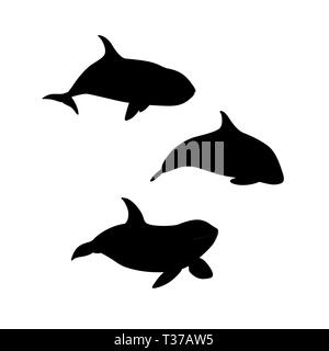 Vector illustration of hand drawn killer whale set silhouette. Animal marin silhouette famille orca Illustration de Vecteur