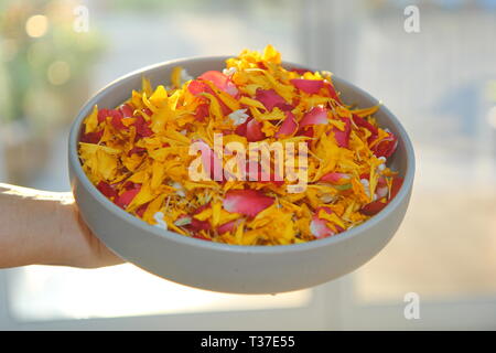 De nombreuses sortes de pétales de fleurs de couleurs sont bonnes sur plaque blanche pour l'utilisation sur l'eau à la Songkran Festival. Banque D'Images