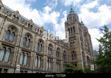 Natural History Museum, Londres, 210515 Banque D'Images