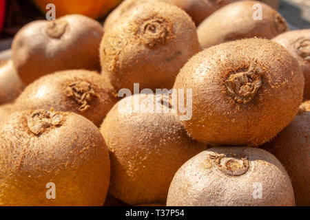 Kiwi frais comme un arrière-plan, sous le soleil du printemps, fruits, Close up Banque D'Images