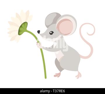 Mignon petit gris souris est titulaire d'une fleur. Cartoon animal character design. Télévision vector illustration isolé sur fond blanc. Illustration de Vecteur