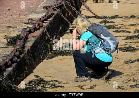 Randonneur femme à faire des photos de Rusty Old Les chaînes de mouillage à marée basse en Bonne Nuit Bay Harbour sur l'île de Jersey, Îles britanniques, Royaume-Uni. Banque D'Images