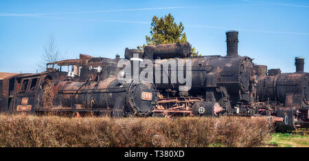 Sibiu, Roumanie - 09 mars, 2019. Vieilles Locomotives à vapeur au Musée en plein air de Sibiu, Roumanie Banque D'Images