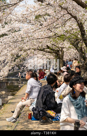 Les gens se sont réunis pour voir les cerisiers en fleurs, 'Hana-mi', ou d'avoir le traditionnel pique-nique sous eux dans le bain soleil du printemps à Shukugawa, près de Nishinomiya au Japon. Un endroit populaire, avec une rangée de cerisiers de chaque côté de la rivière. Banque D'Images