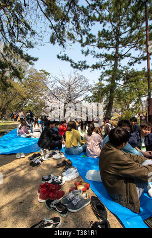 Les gens se sont réunis pour voir les cerisiers en fleurs, 'Hana-mi', ou d'avoir le traditionnel pique-nique sous eux dans le bain soleil du printemps à Shukugawa, près de Nishinomiya au Japon. Un endroit populaire, avec une rangée de cerisiers de chaque côté de la rivière. Banque D'Images