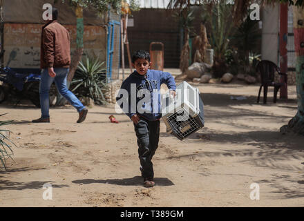 Gaza, Rafah, la Palestine. Apr 7, 2019. Un enfant palestinien vu tenant une cage avec un chat lors d'une évacuation.Les membres de la Société internationale pour la protection des animaux quatre archets pour animaux sur la partie palestinienne pour les déplacer dans certaines zones protégées en Jordanie le 7 avril 2019. - Quarante animaux ont été secourus, dont cinq noirs sur les conditions difficiles dans la bande de Gaza, selon le groupe de bien-être animal le locateur a été exposé à des difficultés financières. Credit : Yousef Masoud SOPA/Images/ZUMA/Alamy Fil Live News Banque D'Images