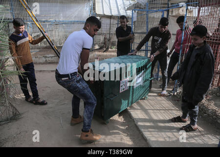 Gaza, Rafah, la Palestine. Apr 7, 2019. Les jeunes palestiniens sont vu porter une cage avec des animaux lors d'une évacuation.Les membres de la Société internationale pour la protection des animaux quatre archets pour animaux sur la partie palestinienne pour les déplacer dans certaines zones protégées en Jordanie le 7 avril 2019. - Quarante animaux ont été secourus, dont cinq noirs sur les conditions difficiles dans la bande de Gaza, selon le groupe de bien-être animal le locateur a été exposé à des difficultés financières. Credit : Yousef Masoud SOPA/Images/ZUMA/Alamy Fil Live News Banque D'Images