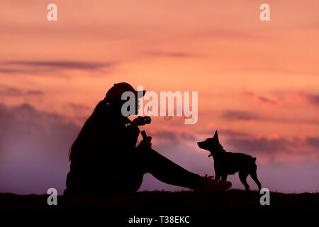 Silhouettes girl and dog au coucher du soleil, des coups de fille bulles, coucher du soleil, incroyable Banque D'Images