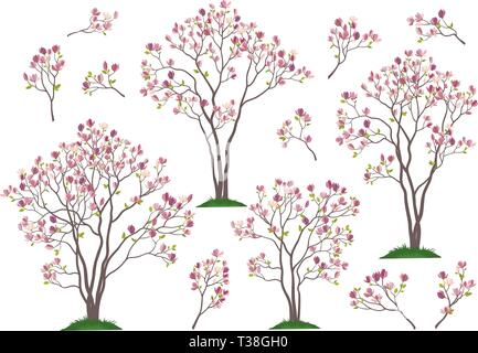 Placer le ressort de magnolias et les branches avec des fleurs roses et vertes feuilles isolées sur fond blanc. Vector Illustration de Vecteur