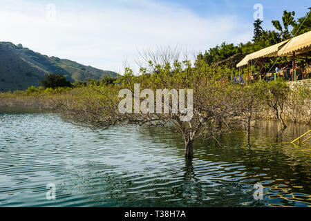 Arbres au Lac de Kournas en Crète. Grèce Banque D'Images