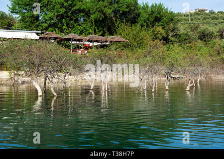 Arbres au Lac de Kournas en Crète. Grèce Banque D'Images