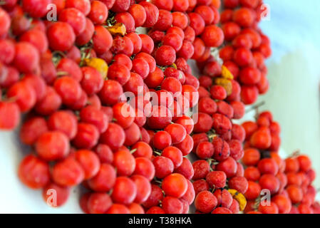 Tomates cerise accrochée à un mur. Banque D'Images