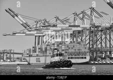 Photo en noir et blanc du remorqueur, TIM QUIGG passant le porte-conteneurs, OOCL TAIPAI, déchargement dans le terminal à conteneurs de long Beach, Californie, États-Unis Banque D'Images