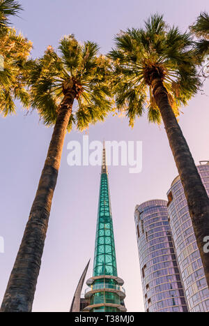 Coucher de soleil sur palmier pans Swan Bell Tower Barrack Square, Perth, Australie occidentale Banque D'Images