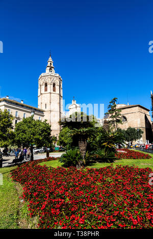 Plaça de la Reina avec en arrière-plan La cathédrale de Valence, Valence, Espagne Banque D'Images