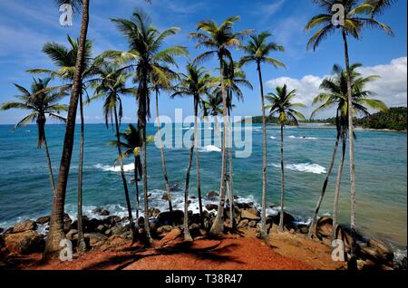 Paysages tropicaux d'un littoral au sud Sri Lanka Banque D'Images