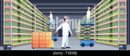 Des ingénieurs travaillant dans l'agriculture biologique moderne système de culture de l'intérieur de la ferme verticale concept transpalette ciseaux de levage (plateformes vert matériel pla Illustration de Vecteur