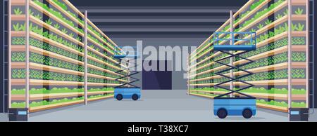 Ciseaux hydraulique de levage (plateformes organique moderne à l'intérieur de la ferme verticale hydroponique système agricole agriculture concept vert plantes croissantes de l'industrie Illustration de Vecteur