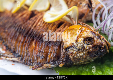 La carpe grillée poisson sur la plaque blanche sur fond blanc Banque D'Images