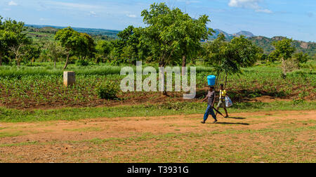 L'homme du Malawi et sa fille marcher le long d'un chemin de terre, l'homme avec un parapluie et un seau sur la tête soutenue par ses mains Banque D'Images