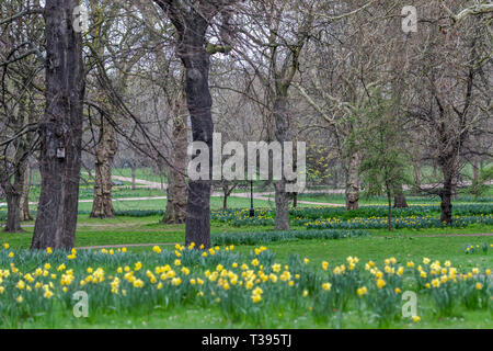 Début du printemps matin dans Green Park, Londres, Samedi, Mars 23, 2019.Photo : David Rowland / One-Image.com Banque D'Images