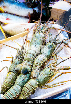 Homards frais sur la glace, de l'alimentation de rue, marché de fruits de mer, les homards close up Banque D'Images