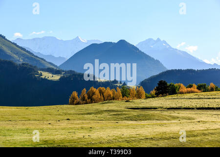 Tôt le matin dans la région de Green Valley de montagnes du Caucase. La Géorgie. Tusheti Banque D'Images