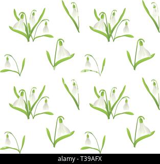 Snowdrop, motif transparent cute cartoon vector illustration sur fond blanc. Cute cartoon en perce-neige modèle transparent sur fond blanc Illustration de Vecteur