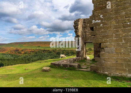 Paysage de North York Moors, à plus Newtondale avec Skelton tour à droite, vu de la Lande Levisham, North Yorkshire, England, UK Banque D'Images