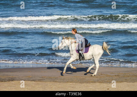 Femme cheval sur une plage rapide, côte Espagne Europe cavalier cheval, femme sur blanc cheval Banque D'Images