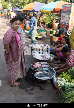 Les vendeurs de rue vendant du poisson au marché de Yangon, Myanmar, Banque D'Images