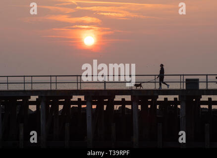 Pays de Galles Aberystwyth UK. 07 avril 2019. Météo France : femme s'exécute avec chien dans pendant sur la jetée sur un dimanche ensoleillé dans Aberystywth, au Pays de Galles. © Rhodri Jones/ UN Banque D'Images